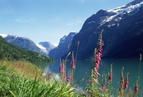 Loen Valley